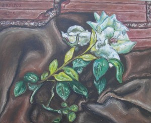 nekri fysi-gardenia